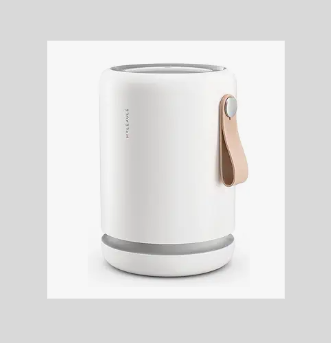 Molekule Air Mini+